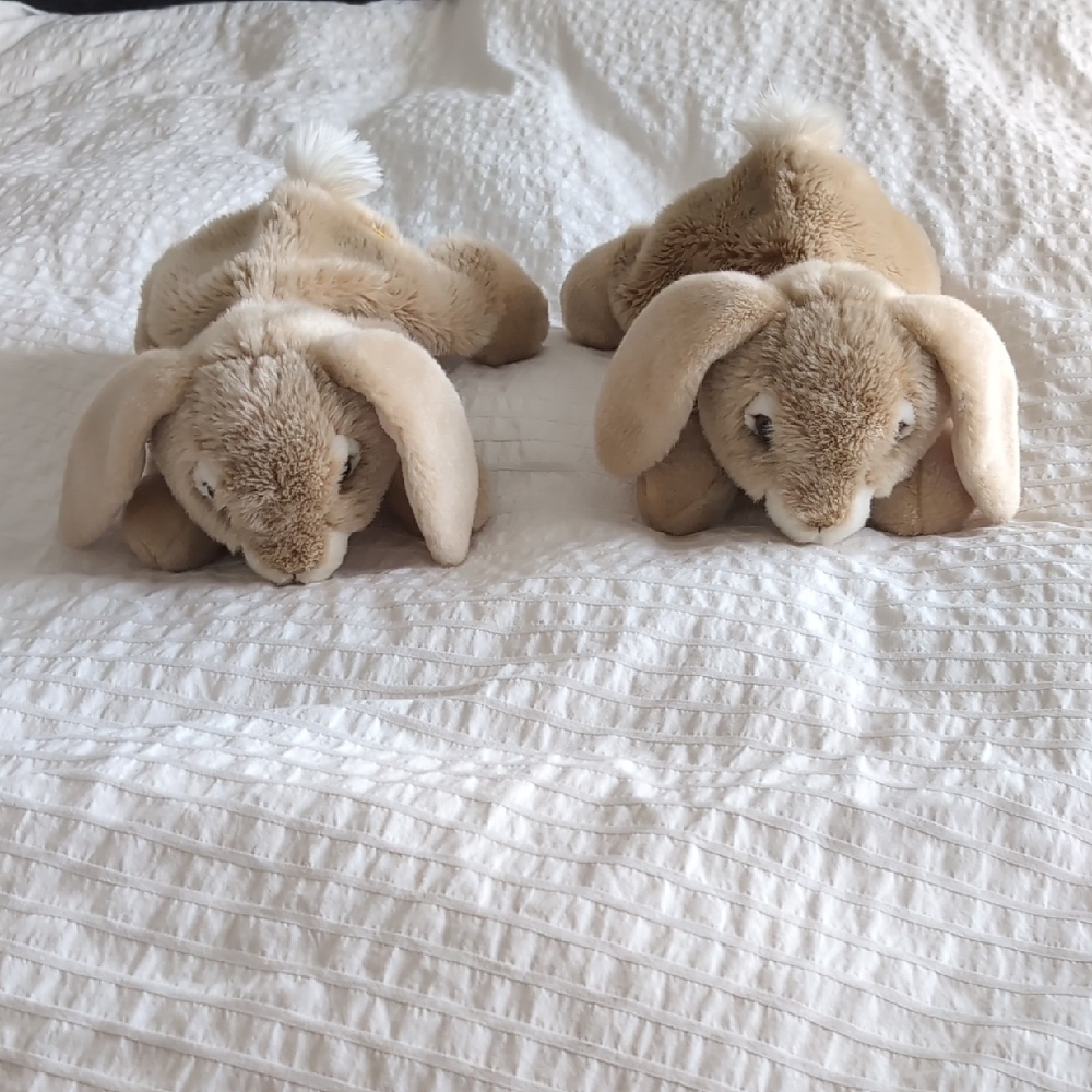 Plush Bunny Pair in Soft Beige Puppets